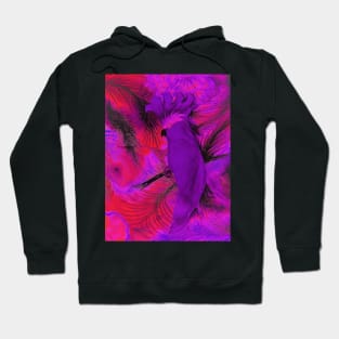 VIBRANT PURPLE RED CORAL PARROT COCKATOO POSTER PALM TROPICAL PRINT Hoodie